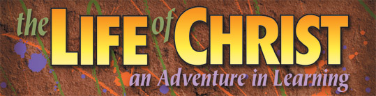 Bible Foundations on DVD