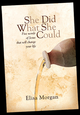 She Did What She Could book cover